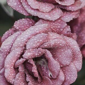 Meet your Posher, Candace